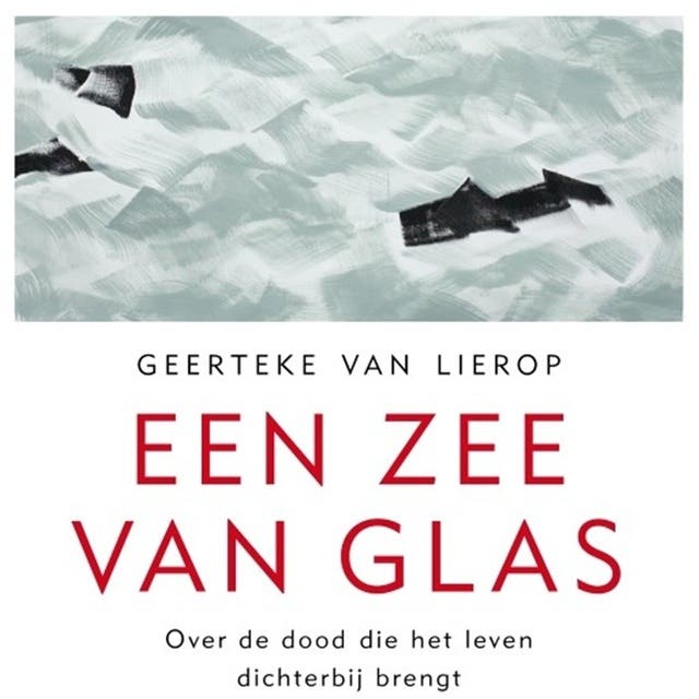 Een zee van glas: Over de dood die het leven dichterbij brengt