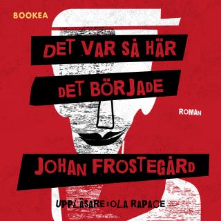 Det var så här det började