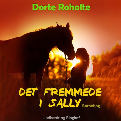 Det fremmede i Sally – omslag til lydbogen af Dorte Roholte