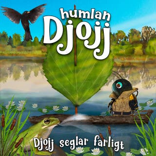 Djojj seglar farligt