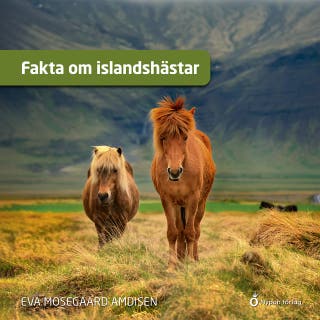 Fakta om islandshästar