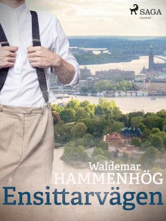 Ensittarvägen – omslag till ljudboken av Waldemar Hammenhög