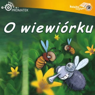 O wiewiórku – okładka audiobooka, autor Ryszard Adam Gruchawka