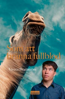 Som att bränna fullblod – omslag till ljudboken av Viveca Brattström