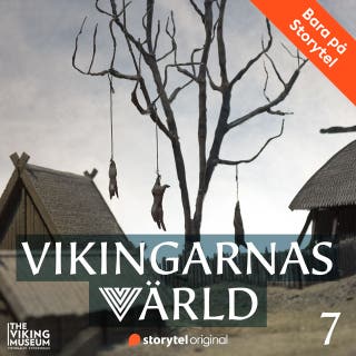 Vikingarnas värld - Ond bråd död på vikingatiden