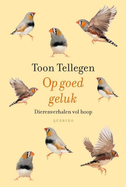 Op goed geluk: dierenverhalen vol hoop