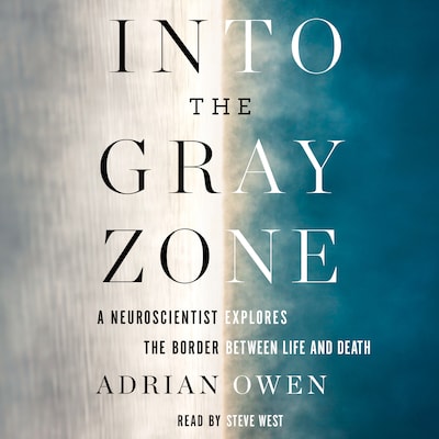 Into the Gray Zone