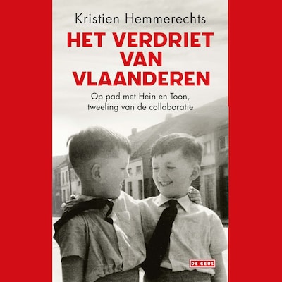 Het verdriet van Vlaanderen