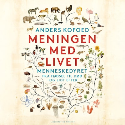 Meningen med livet – omslag til lydbogen af Anders Kofoed