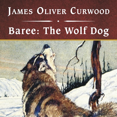 Baree: The Wolf Dog, with eBook – omslag til lydbogen af James Oliver Curwood