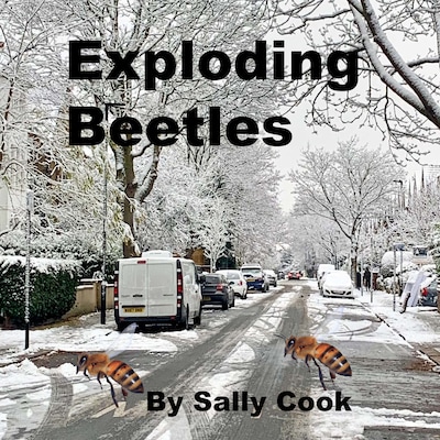 Exploding Beetles – omslag til lydbogen af Sally Cook