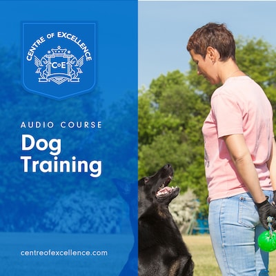 Dog Training