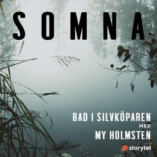 Bad i Silvköparen