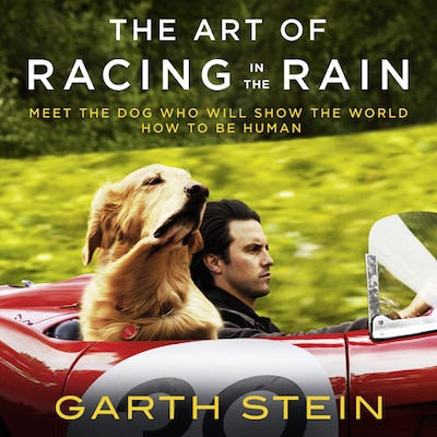 The Art of Racing in the Rain