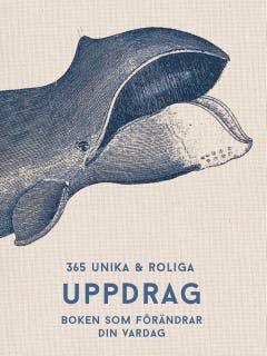 365 roliga och unika uppdrag