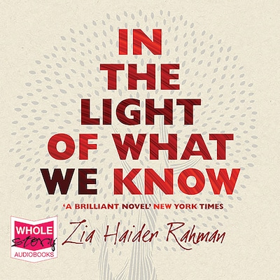 In the Light of What We Know – omslag til lydbogen af Zia Haider Rahman