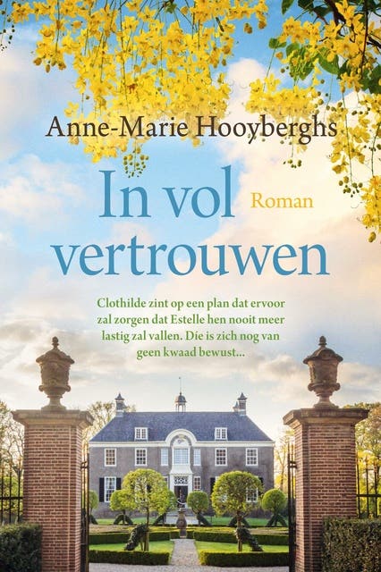 In vol vertrouwen – omslag van het luisterboek van Anne-Marie Hooyberghs