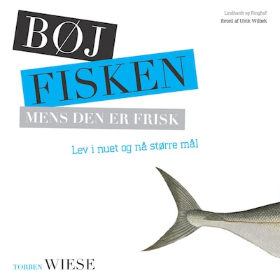 Bøj fisken mens den er frisk - lev i nuet og nå større mål – omslag til lydbogen af Torben Wiese