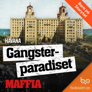 Gangsterparadiset