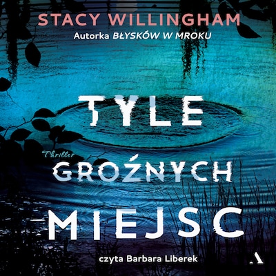 Tyle groźnych miejsc – okładka audiobooka, autor Stacy Willingham