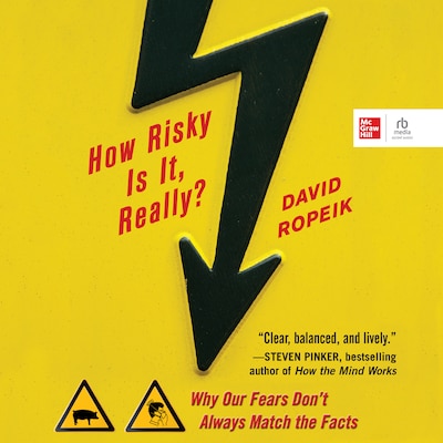 How Risky Is It, Really? – omslag til lydbogen af David Ropeik
