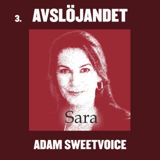Avslöjandet: Erotisk novell – omslag till ljudboken av Adam Sweetvoice