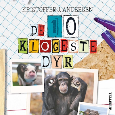 De 10 dyr: De 10 klogeste dyr – omslag til lydbogen af Kristoffer J. Andersen