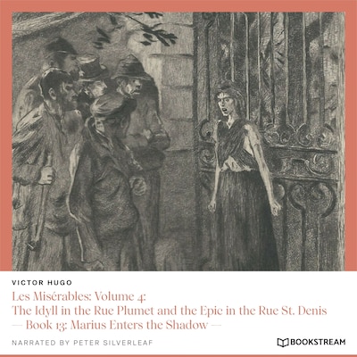 Les Misérables, Volume 4: The Idyll in the Rue Plumet and the Epic in the Rue St. Denis - Book 13: Marius Enters the Shadow
