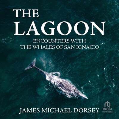 The Lagoon – omslag til lydbogen af James Michael Dorsey