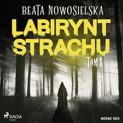 Labirynt strachu. Tom 1 – okładka audiobooka, autor Beata Nowosielska