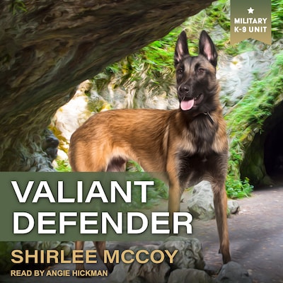 Valiant Defender – omslag til lydbogen af Shirlee McCoy