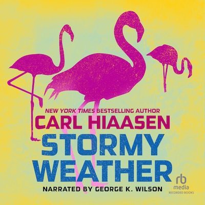Stormy Weather – omslag til lydbogen af Carl Hiaasen