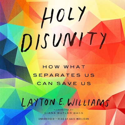 Holy Disunity – omslag til lydbogen af Layton E. Williams