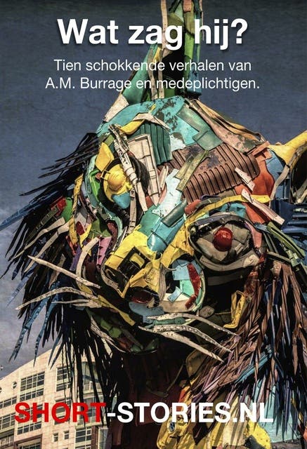Wat zag hij? – omslag van het luisterboek van A.M. Burrage,André Maurois,Anton Chekhov,Eddy C. Bertin,Edward Bulwer-Lytton