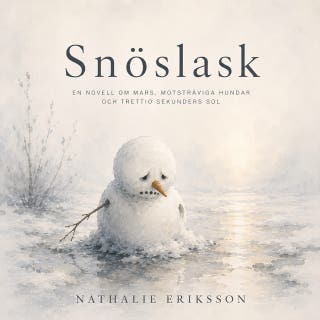 Snöslask: Novell