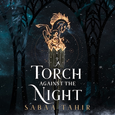 A torch against the night