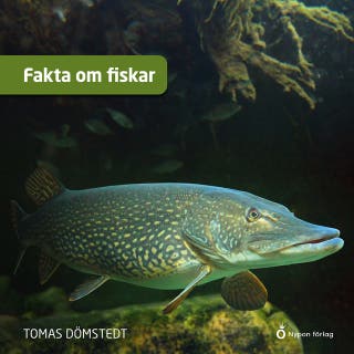 Fakta om fiskar