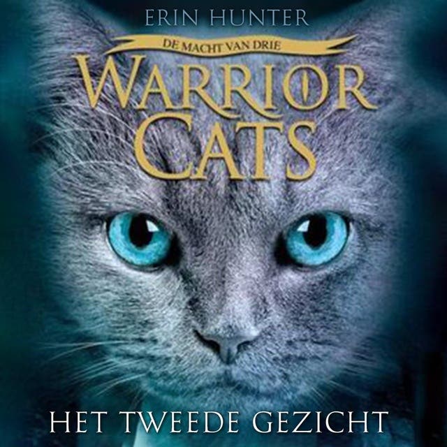 Het tweede gezicht