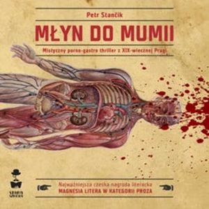 Młyn do mumii – okładka audiobooka, autor Petr Stančík