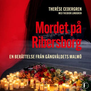 Mordet på Ribersborg : en berättelse från gängvåldets Malmö – omslag till ljudboken av Theodor Lundgren,Therese Cedergren