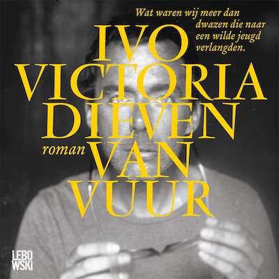 Dieven van vuur