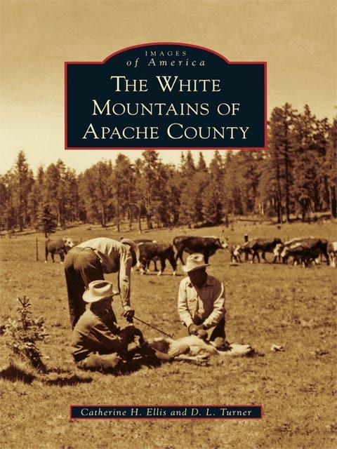 The White Mountains of Apache County – omslag til lydbogen af Catherine H Ellis, D L Turner