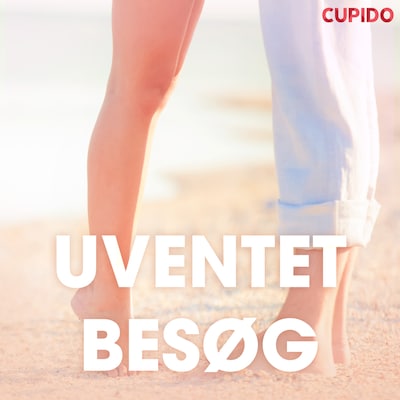 Uventet besøg – erotiske noveller – omslag til lydbogen af Cupido