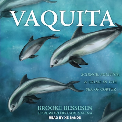 Vaquita – omslag til lydbogen af Brooke Bessesen