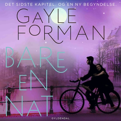 Bare en nat – omslag til lydbogen af Gayle Forman