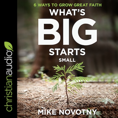 What's Big Starts Small – omslag til lydbogen af Mike Novotny