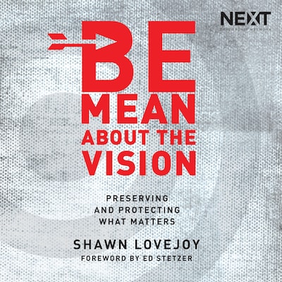 Be Mean About the Vision