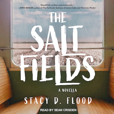The Salt Fields – omslag til lydbogen af Stacy D. Flood
