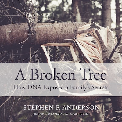 A Broken Tree – omslag til lydbogen af Stephen F. Anderson