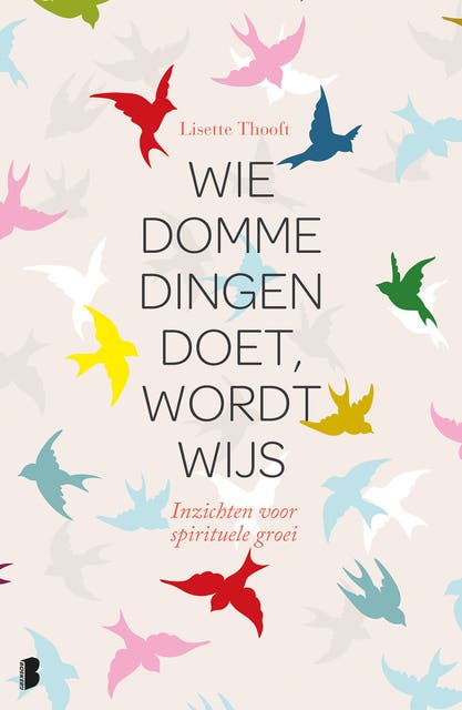 Wie domme dingen doet, wordt wijs: Inzichten voor spirituele groei